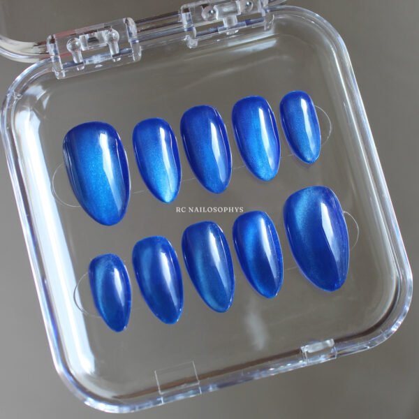 Midnight Cat-Eyes faux ongles